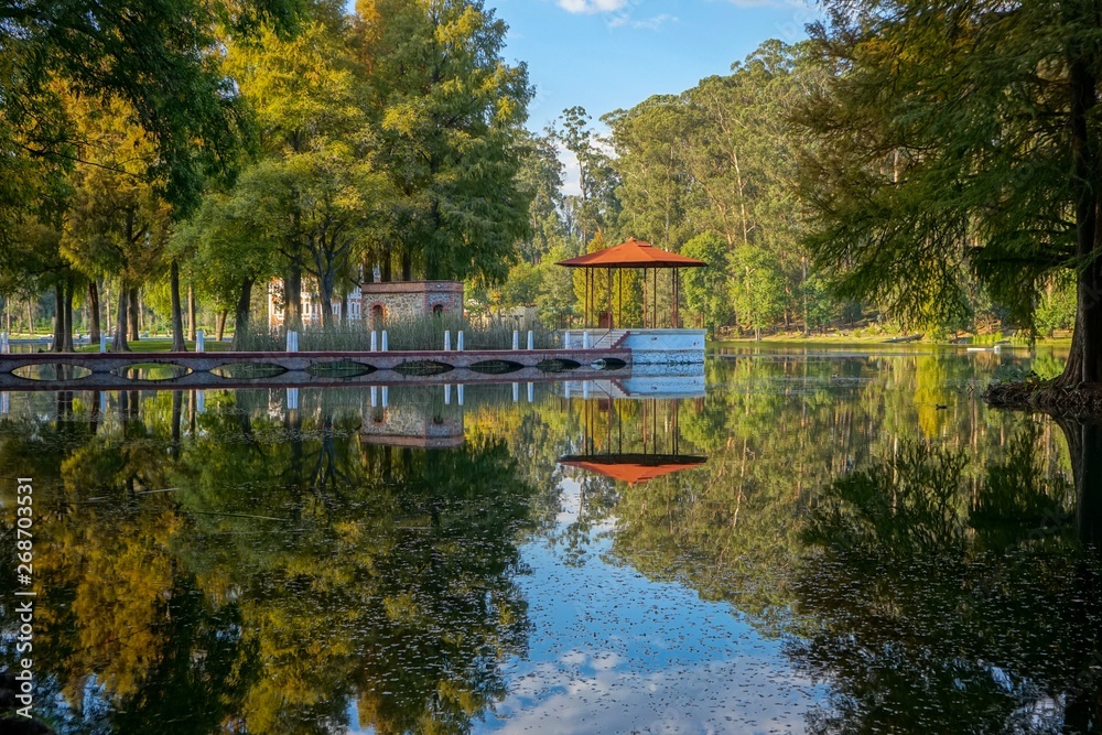 Fototapeta premium Beautiful natural reflection