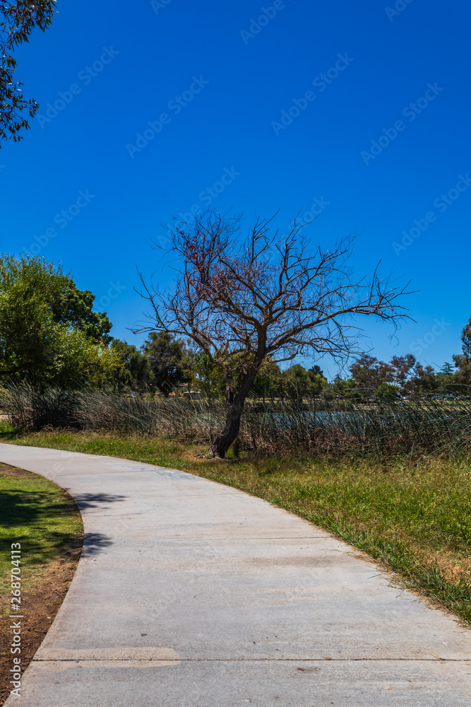 footpath in the park to walk near lake front footpath in the park to walk near lake front