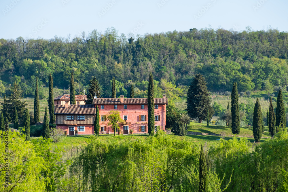 Beautifull villa manson house in vine region Collio in Italy