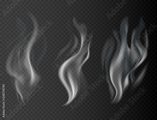 Realistic smoke isolated on transparent background vector illustration.
