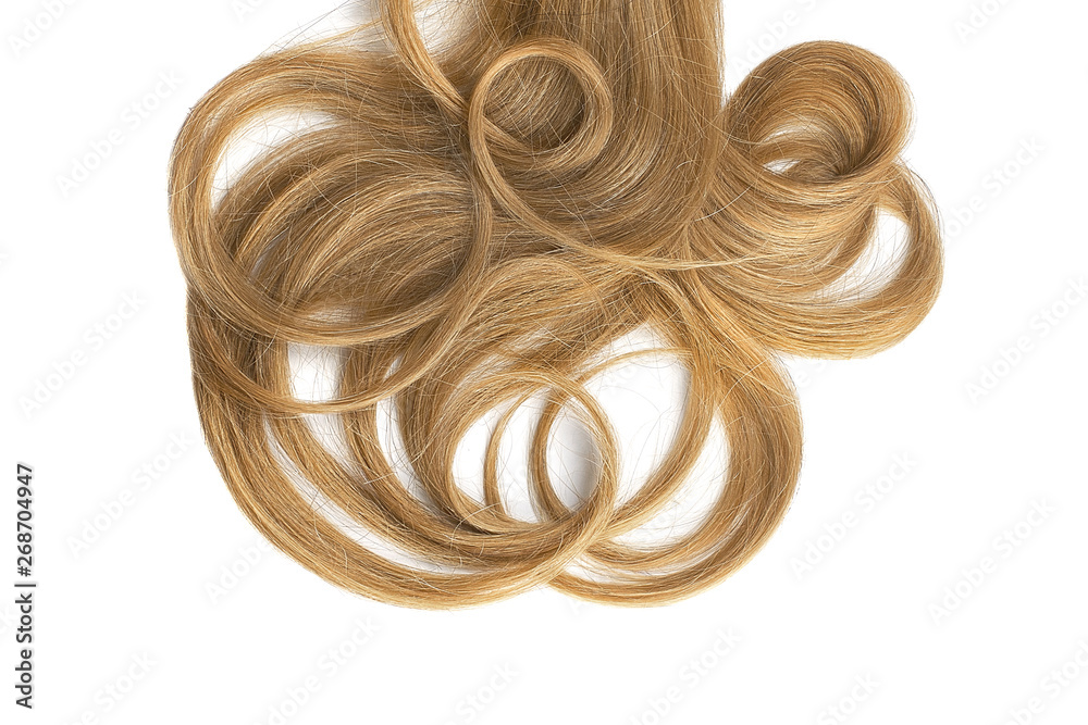 Curly brown hair isolated on white background. Circle shaped Curly brown hair isolated on white background. Circle shaped