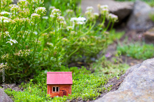 Red house on the mountain - stone, in the grass and moss