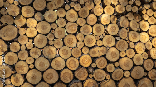 Logs. Log cuts. Stack of logs. Stack of firewood. Logs cuts prepared for fireplace. Woodpile. Wood for fireplace. Wood for winter. Firewood background. 