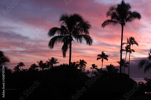 Hawaii sunset with orange sky and palm tree from oahu beach serene 