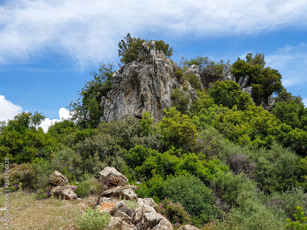 Plants in the Crevices of the Rock Against the Sky. Marmaris - Turkey Plants in the Crevices of the Rock Against the Sky. Marmaris - Turkey