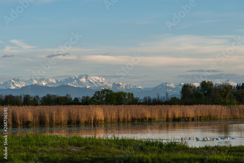 Blick vom Vogelschutzgebiet Ammersee bis zu den Alpen mit Zugspitze