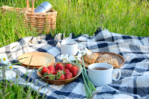 Picnic in the Park on the green grass with berry, cookies, tea. Picnic basket and blanket. Summer holiday