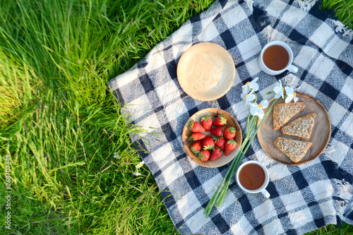 Picnic in the Park on the green grass with berry, cookies, tea.  Picnic blanket. Summer holiday
