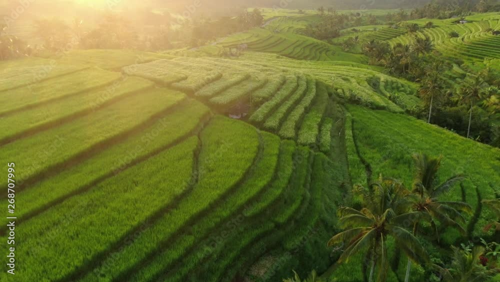 Beautiful sunrise over the Jatiluwih Rice Terraces in Bali, Indonesia Beautiful sunrise over the Jatiluwih Rice Terraces in Bali, Indonesia