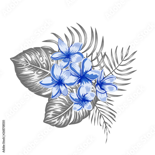 Vector tropical composition of blue plumeria flowers and grey monstera and palm leaves isolated on white background.Realistic watercolor style exotic design elements.