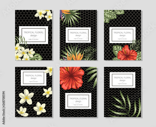 Tropical floral templates with hand drawn bunches of plumeria,  hibiscus,  strelitzia,  monstera,  palm tree leaves . Perfect for romantic design,  banners,  announcements,  greeting cards,  announcem photo