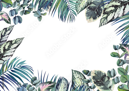 Tropical frame with green Calathea  palm and eucalyptus leaves. Watercolor illustration on white background.