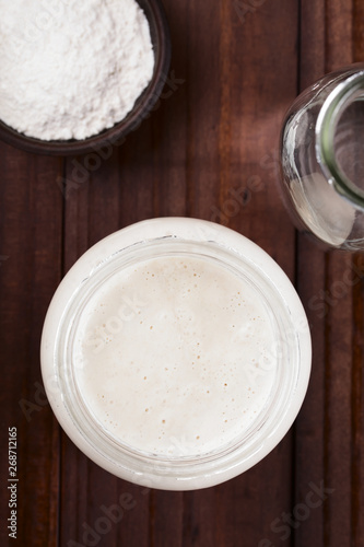 Fresh homemade bubbly sourdough starter, a fermented mixture of water and flour to use as leaven for bread baking, photographed overhead (Selective Focus, Focus on the top of the starter)