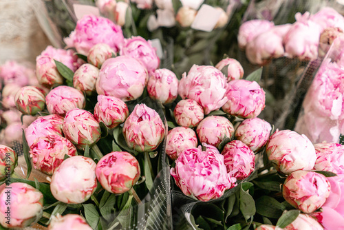Fototapeta Naklejka Na Ścianę i Meble -  Warehouse refrigerator, Wholesale flowers for flower shops. Pink peonies in a plastic container or bucket. Online store. Floral shop and delivery concept.