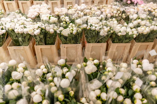 Fototapeta Naklejka Na Ścianę i Meble -  Warehouse refrigerator, Wholesale flowers for flower shops. White peonies in a plastic container or bucket. Online store. Floral shop and delivery concept.