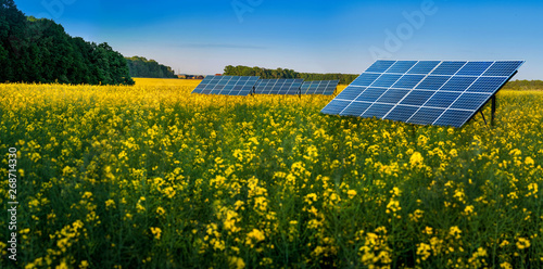 Great panoramic view of Rape Field with solar panel