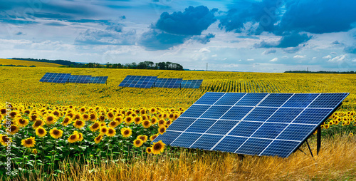 Panoramic view on sunflower field with solar panel
