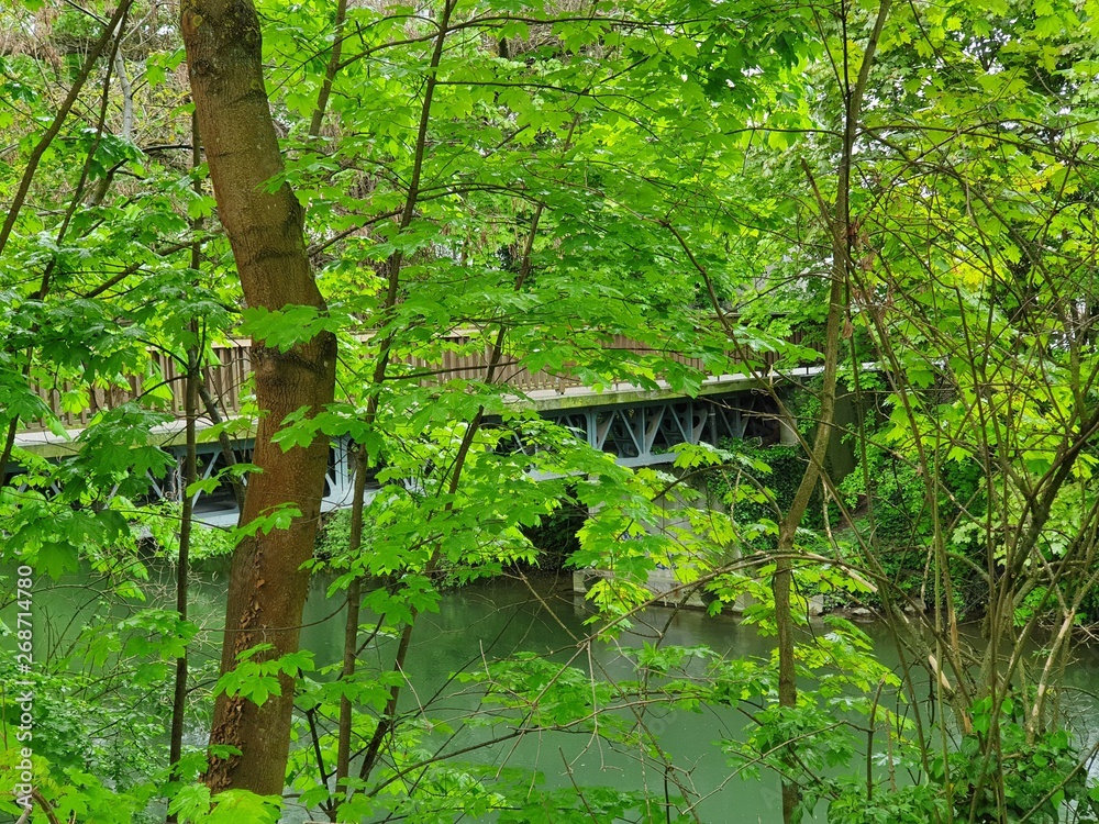 wooden bridge in the woods wooden bridge in the woods