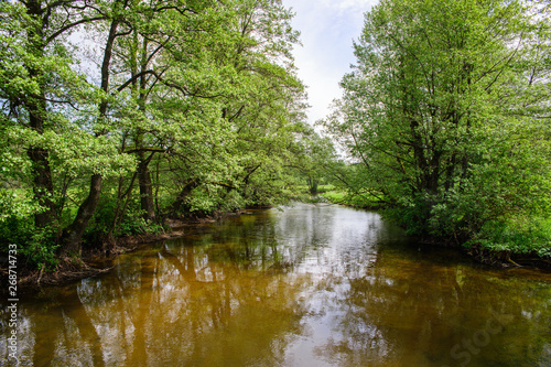 Rzeka Rospuda po  r  d drzew  sp  yw kajakowy