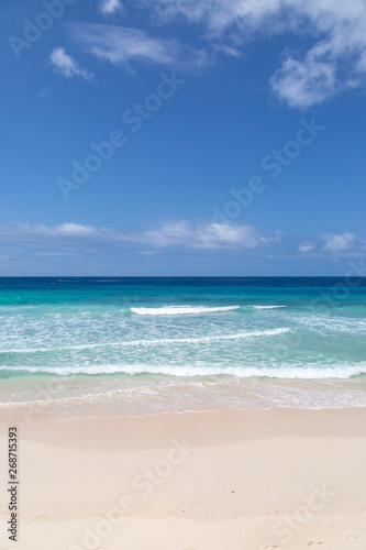 Fototapeta Naklejka Na Ścianę i Meble -  Looking out to sea from an idyllic beach on the caribbean island of Barbados