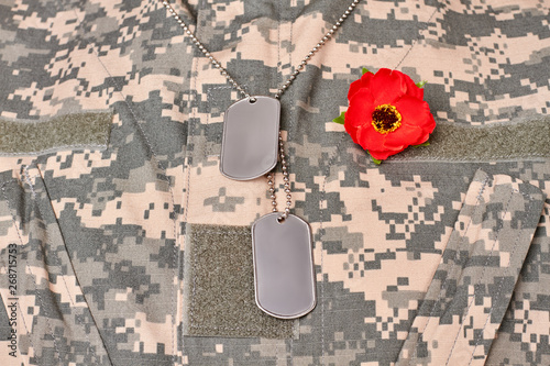 Army camouflage texture background. Dog tags and red poppy flower.