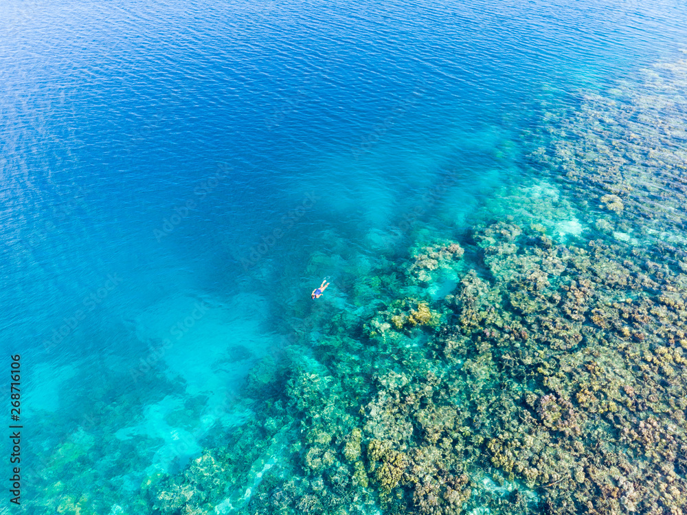 Fototapeta premium Aerial top down people snorkeling on coral reef tropical caribbean sea, turquoise blue water. Indonesia Wakatobi archipelago, marine national park, tourist diving travel destination