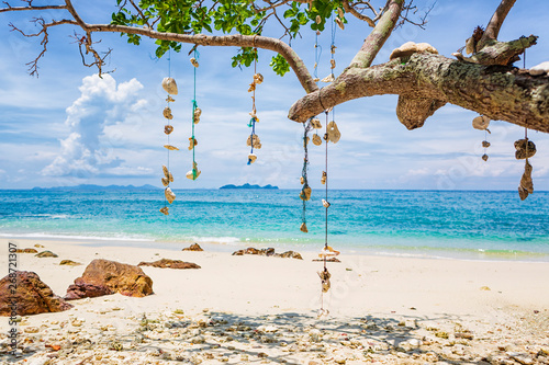 Empty dream Beach with white sand on the island of Koh Ngai, Thailand. Shells hanging from a tree branch on a string. photo