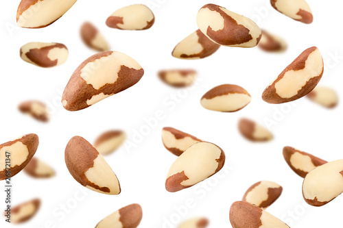 Falling brazil nut, isolated on white background, selective focus