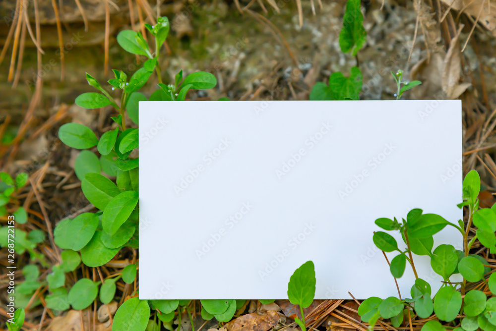 Background image of green leaves and cards Background image of green leaves and cards