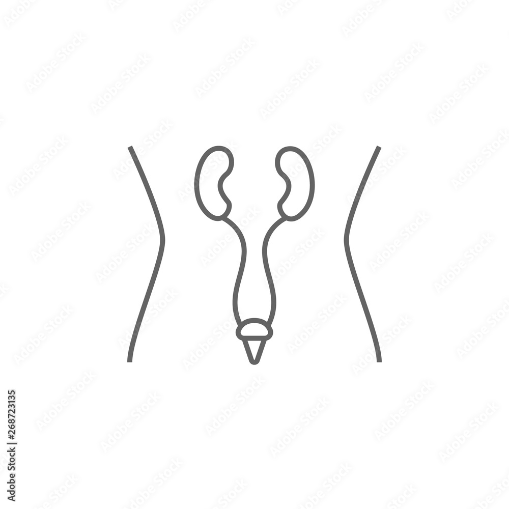 health, urology, medical. Element of health icon. Thin line icon for website design and development, app development. Premium icon health, urology, medical. Element of health icon. Thin line icon for website design and development, app development. Premium icon