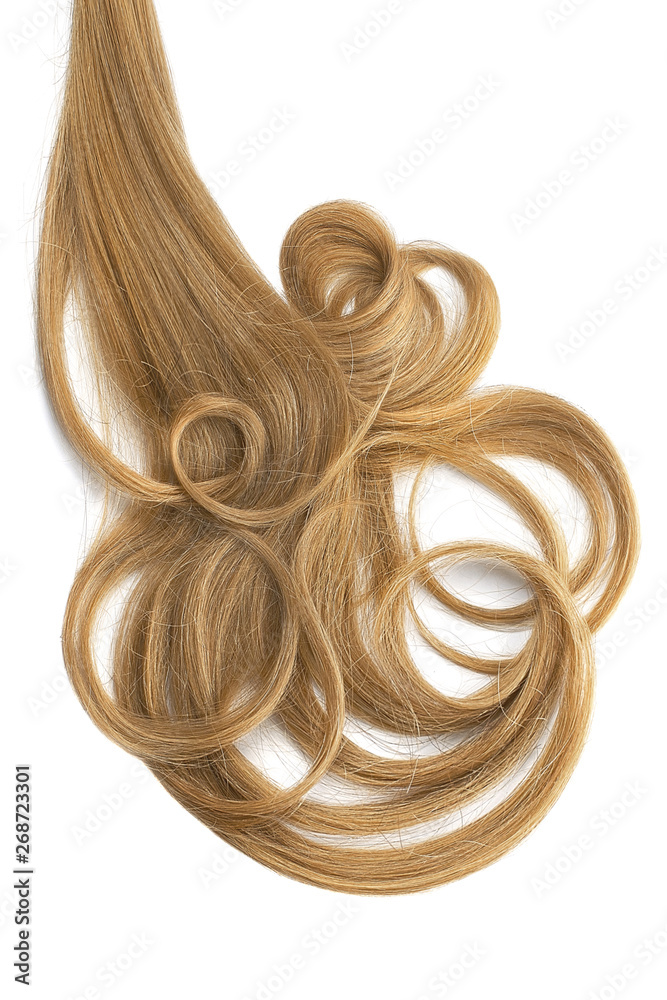 Curly brown hair isolated on white background. Circle shaped Curly brown hair isolated on white background. Circle shaped