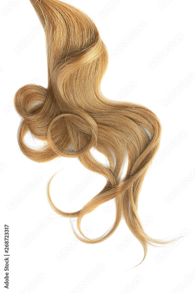 Curly brown hair isolated on white background. Circle shaped Curly brown hair isolated on white background. Circle shaped