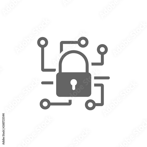 Data premium icon. Element of internet security icon. Premium quality graphic design icon. Signs and symbols collection icon for websites, web design, mobile app