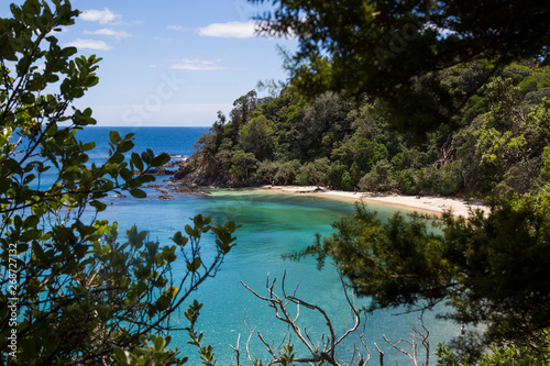View through the trees walking down to Whale Bay. Glorious white sand beach with warm, clear turquoise water. Near Matapouri, Tutukaka coast, Northland. Only accessible by foot or boat. Secluded. photo
