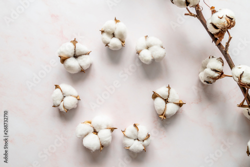 Cotton flowers on grey marble background flat lay top view