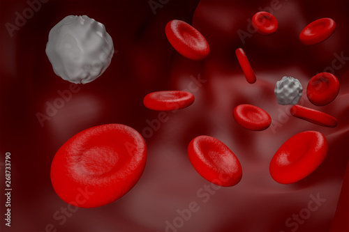 red blood and white blood  cell concept inside bloood tube graphic 3D rendering - Illustration