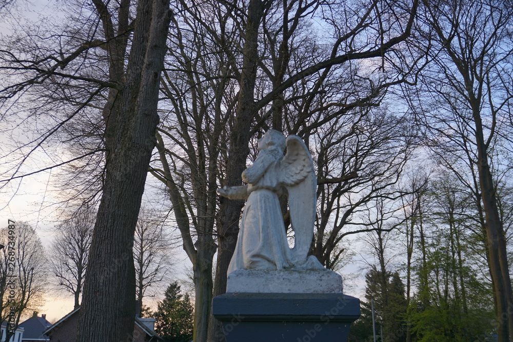 Fototapeta premium Angel