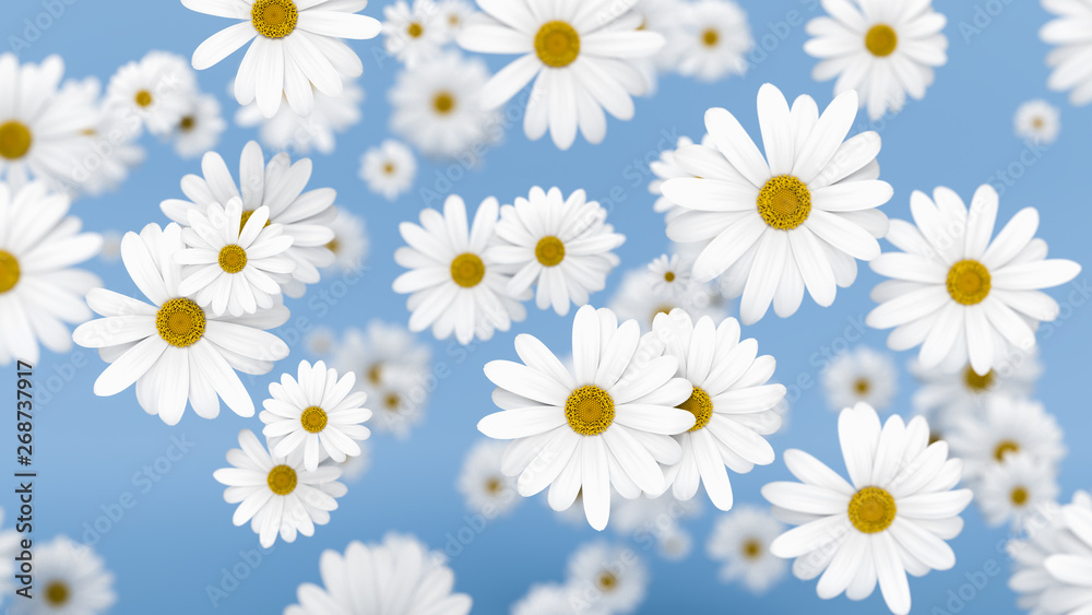 flowers falling on blue background, 3d rendering.. flowers falling on blue background, 3d rendering..