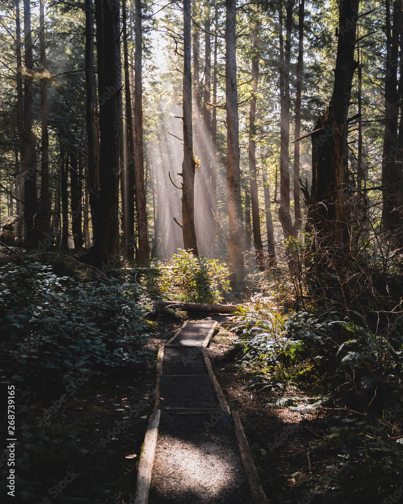 Obraz premium happiness is about life