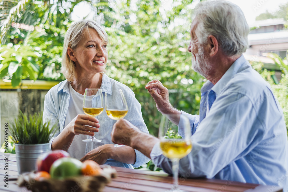 Senior couple enjoy drinking and clinking glass of wine to relax at home, senior retirement concept Senior couple enjoy drinking and clinking glass of wine to relax at home, senior retirement concept
