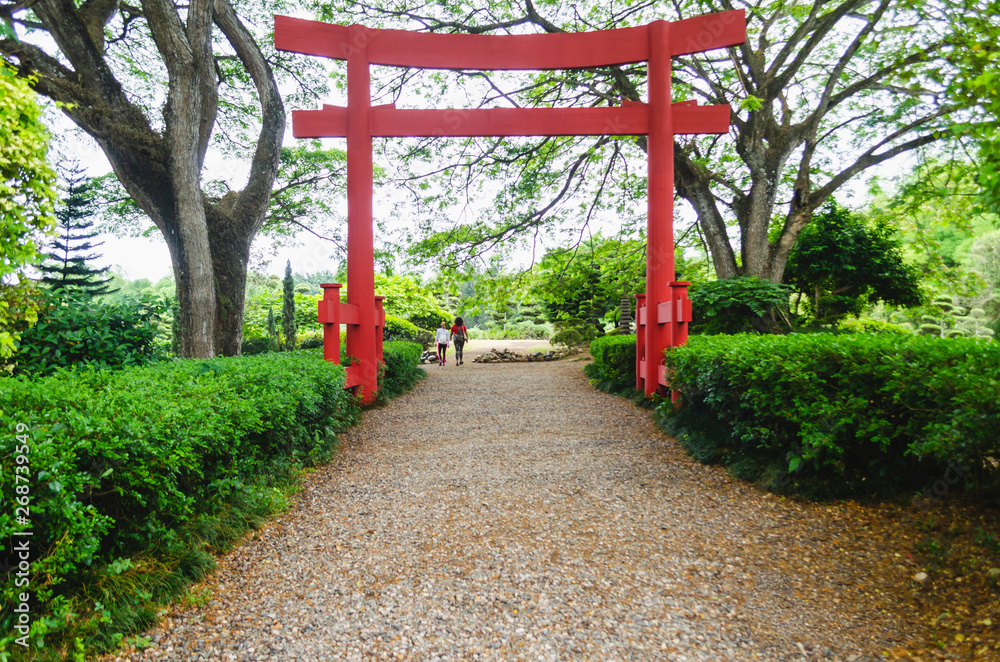 beautiful torii gate in Japanese garden contracting with the green of nature - obrazy, fototapety, plakaty 