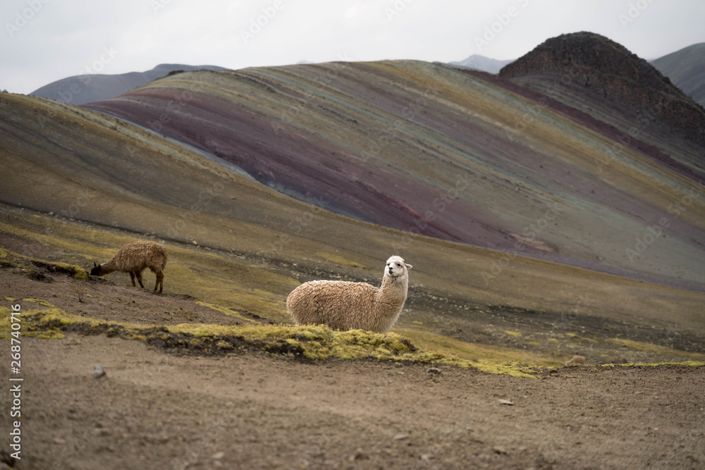 Naklejka premium youre missing out