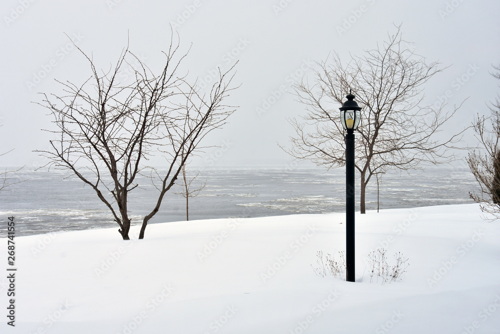 Obraz premium Winter in a River