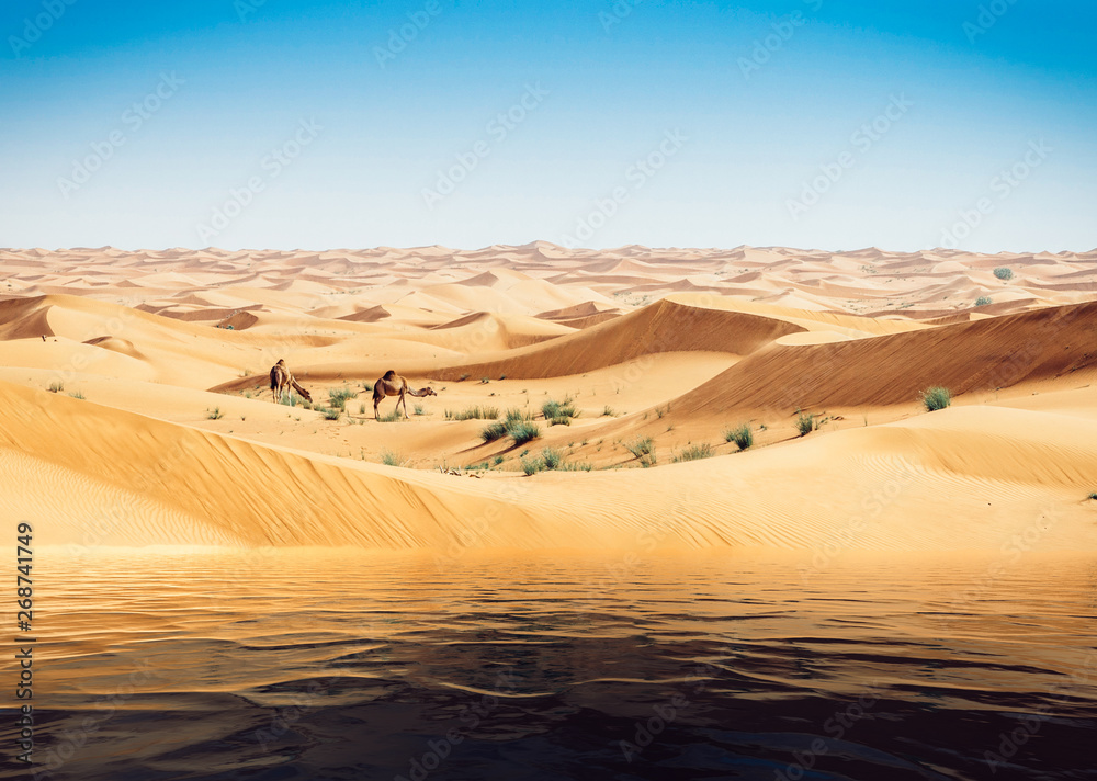 Mirage of the water in the Arabian desert. Camels in background