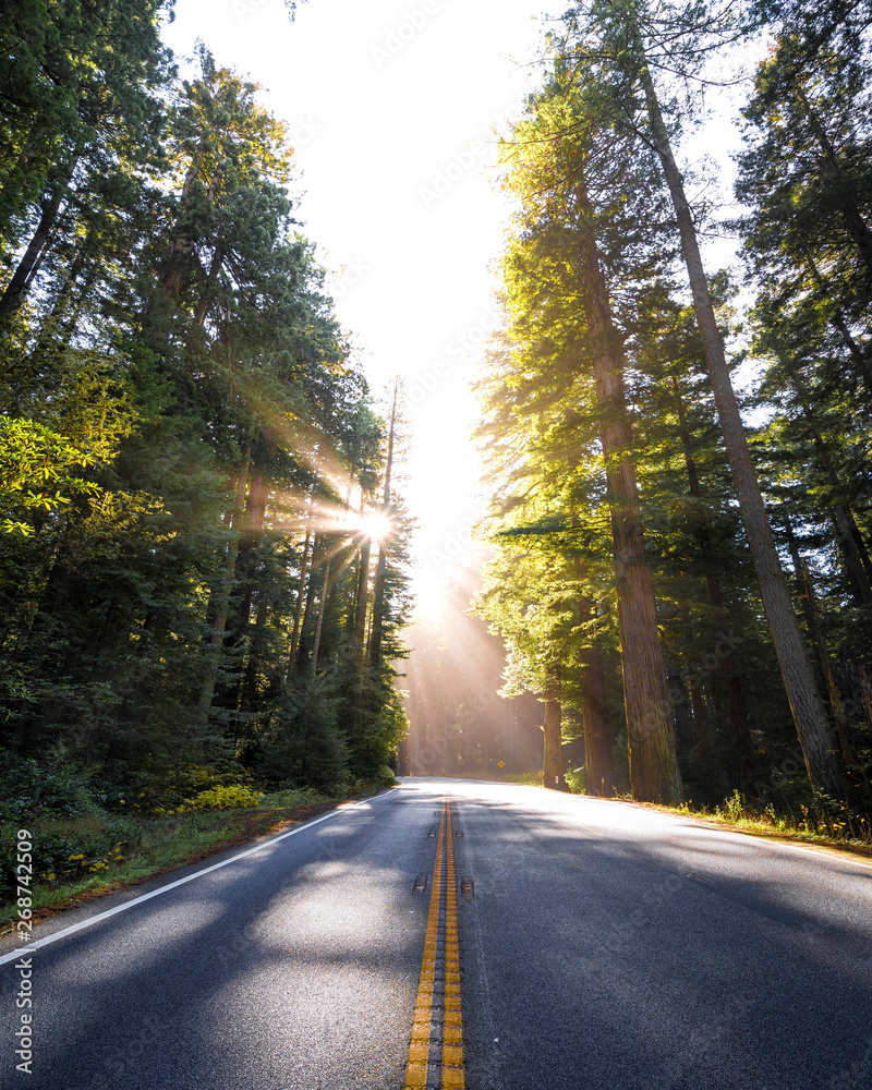 Fototapeta premium chodzimy na plafy