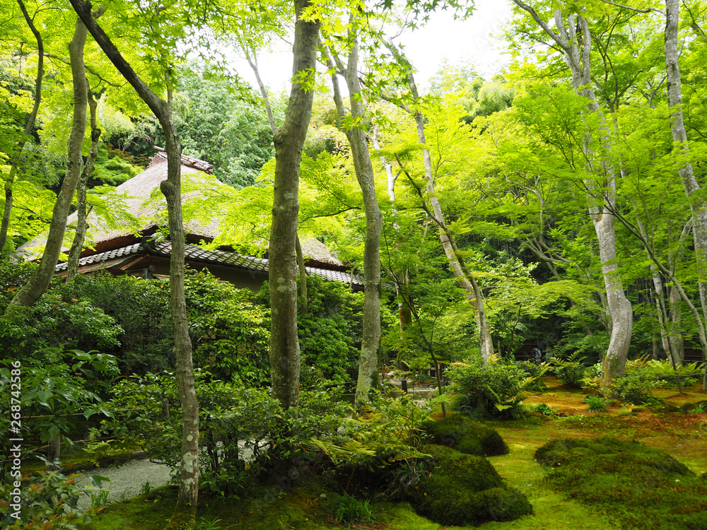 Obraz premium 京都 嵯峨野 祇王寺