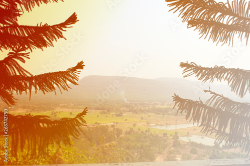 tropical landscape with palm trees