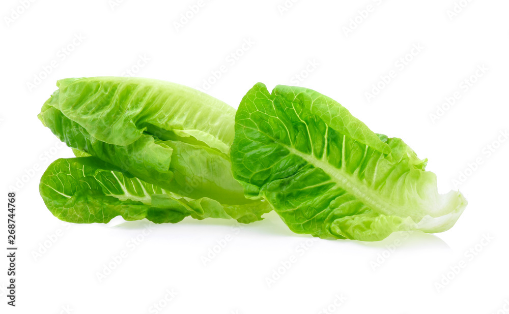 Fresh lettuce (baby cos) on white background Fresh lettuce (baby cos) on white background