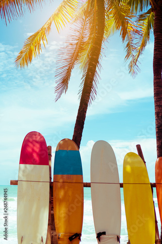 Photography Many surfboards beside coconut trees at summer beach with sun light and blue sky background