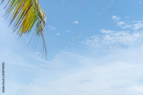 Copy space summer blue sky and white cloud abstract background. © ant